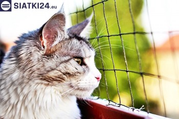 Siatki Darłowo - Siatka na balkony dla kota i zabezpieczenie dzieci dla terenów Darłowa